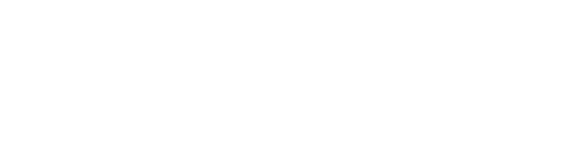Brock IT Consulting