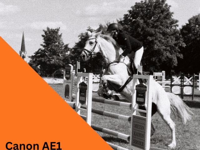 Burgstädter Reitturnier 2025