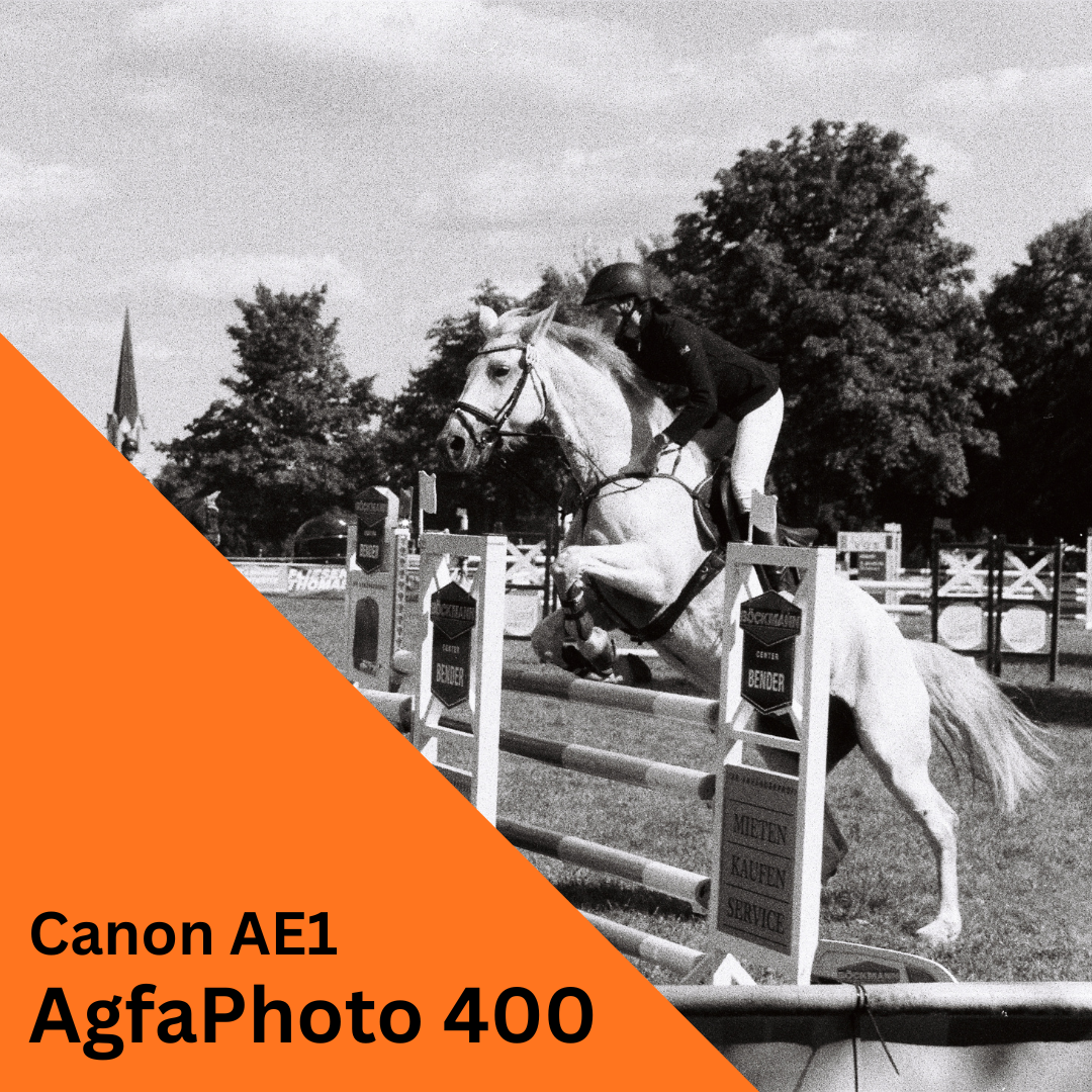 Du betrachtest gerade Burgstädter Reitturnier 2025